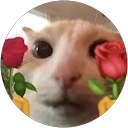 社會底層 profile picture