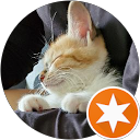 momo醬 profile picture