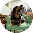 Gash HUANG profile picture