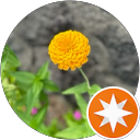 iM x 樂生活 profile picture