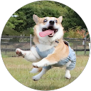 Felix li profile picture