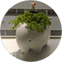 林幸暖 profile picture